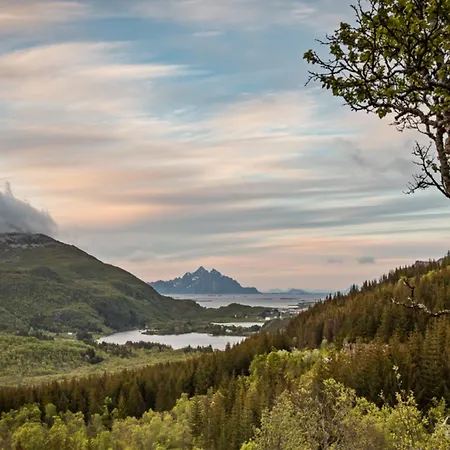 The Traditional Burekka 17 - Lofoten Stamsund