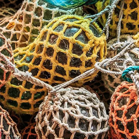 The Traditional Burekka 17 - Lofoten 斯塔姆松