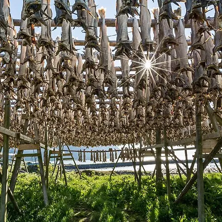 The Traditional Burekka 17 - Lofoten 度假居 斯塔姆松