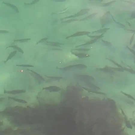 Hébergement de vacances The Traditional Burekka 17 - Lofoten *