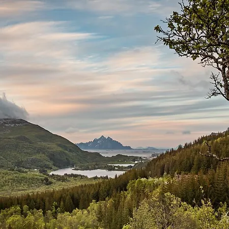 The Traditional Burekka 17 - Lofoten